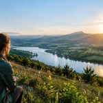 Ecosystem services : comprendre leur rôle dans la transition écologique et l’innovation durable